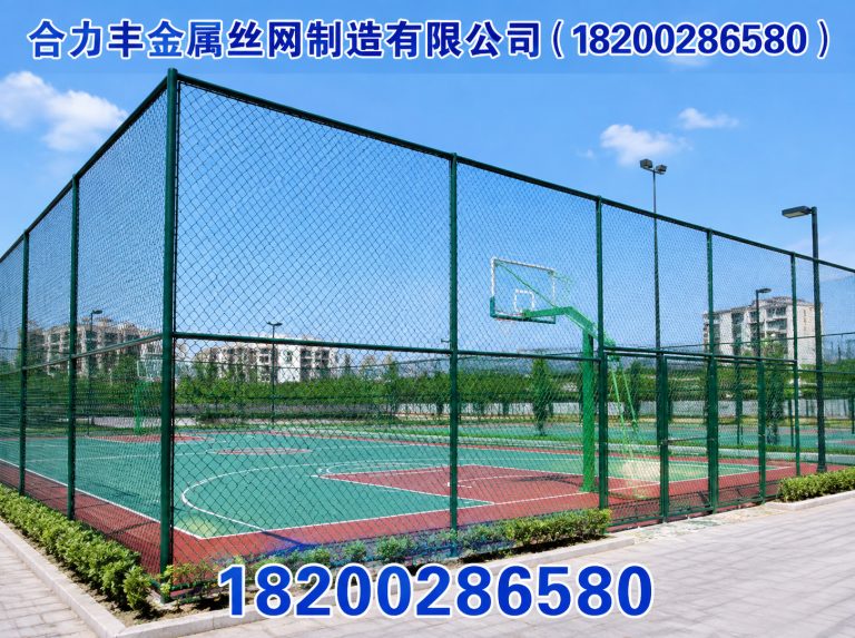 成华区球场围网展示图